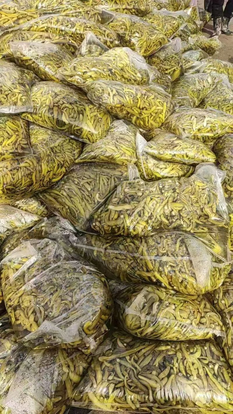 青红泡椒，青红剁椒