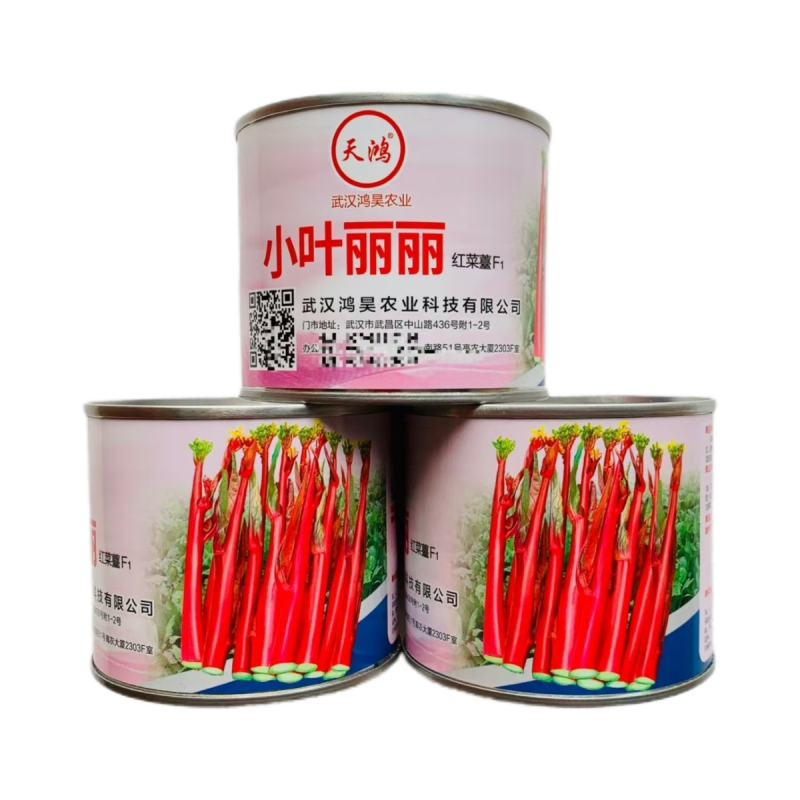 天鸿金品状元红红菜苔种子杂交早中熟亮红无腊粉味甜无苦味秋