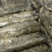 马来西亚即食燕窝鲜炖燕窝生产厂家一手货源支持定制微商货源