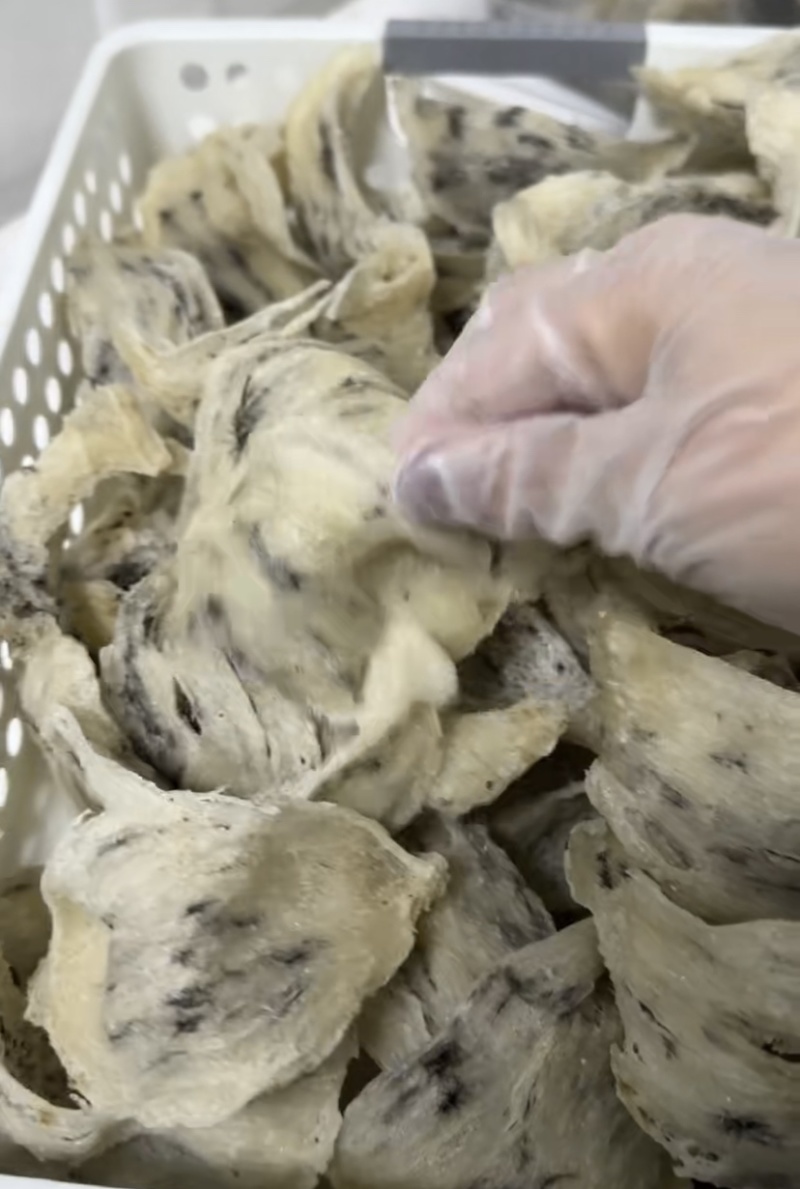 马来西亚即食燕窝鲜炖燕窝生产厂家一手货源支持定制微商货源