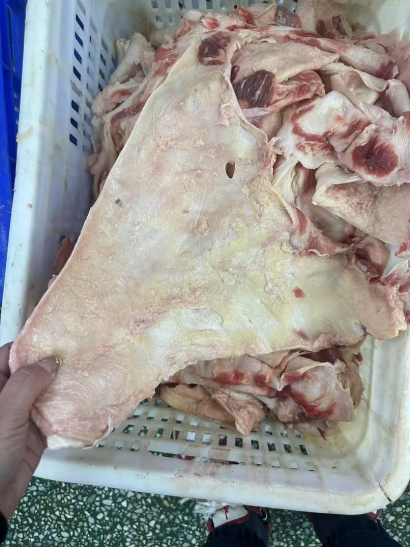 牛腩筋精修大块牛腩筋一手货源