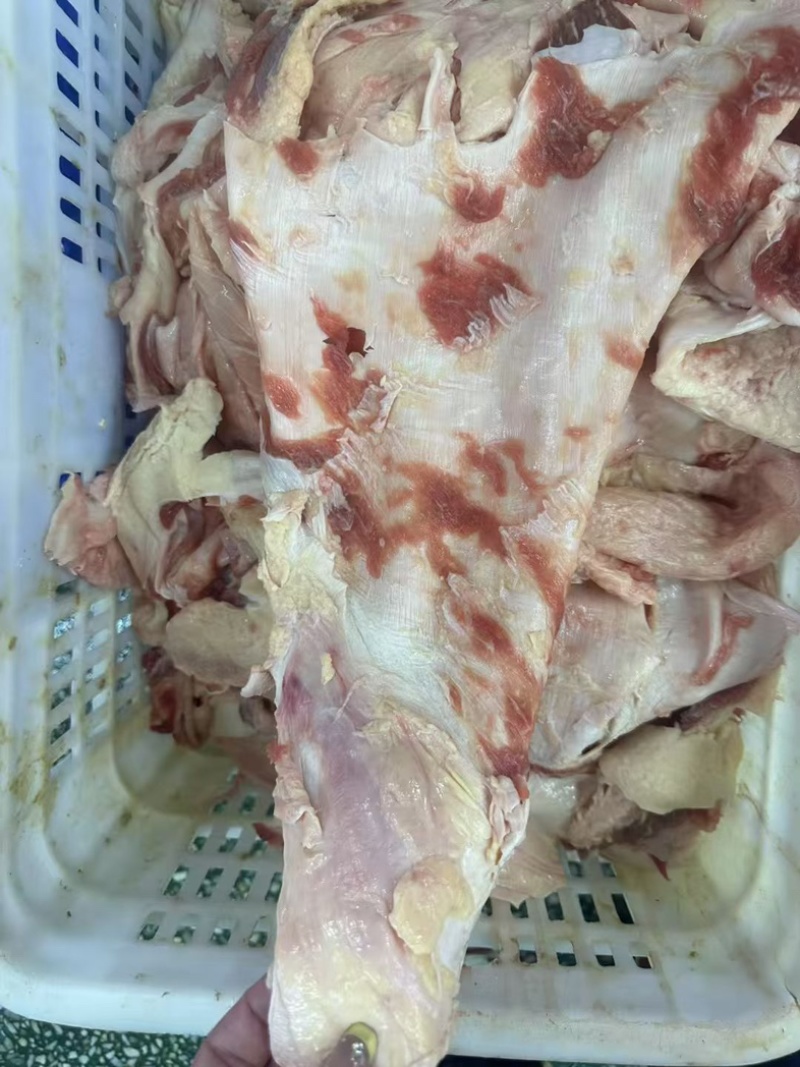 牛腩筋精修大块牛腩筋一手货源