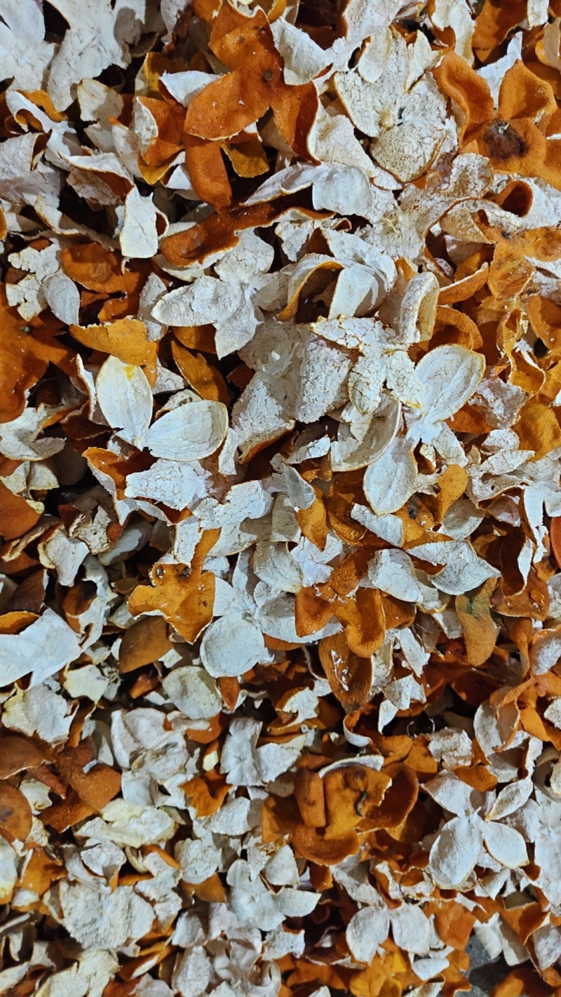 产地优质陈皮，货源充足，一手货源，立即传播全国采购商。