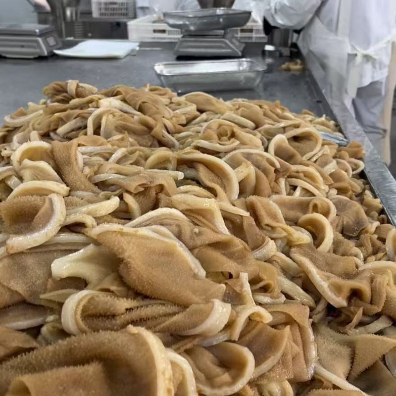 毛肚带底板叶片水发食材爆肚片厂家火锅冒菜烫涮凉拌