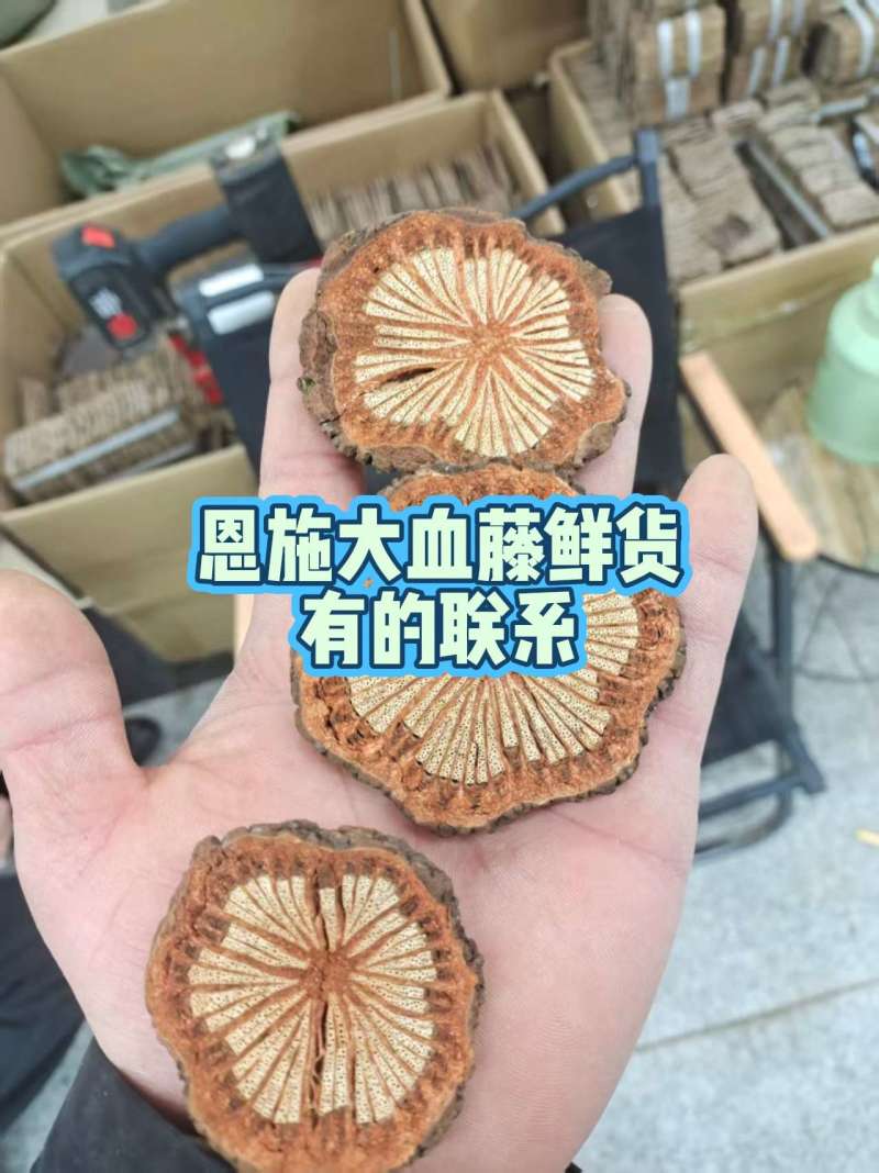 红藤野生大血藤血塞通恩施大血藤脑血通可食用正品无硫无杂质