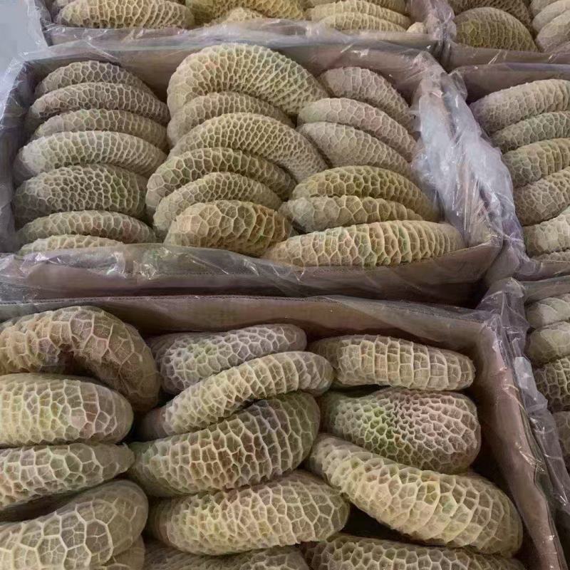 金钱肚