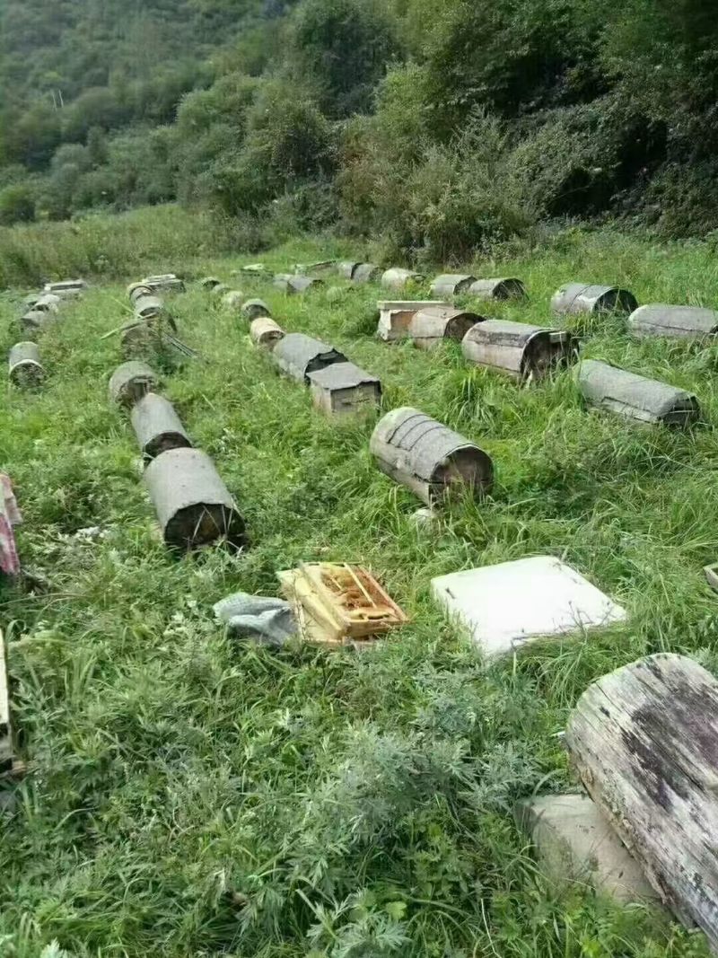 甘肃地标波美度42+土蜂蜜25项检测合格