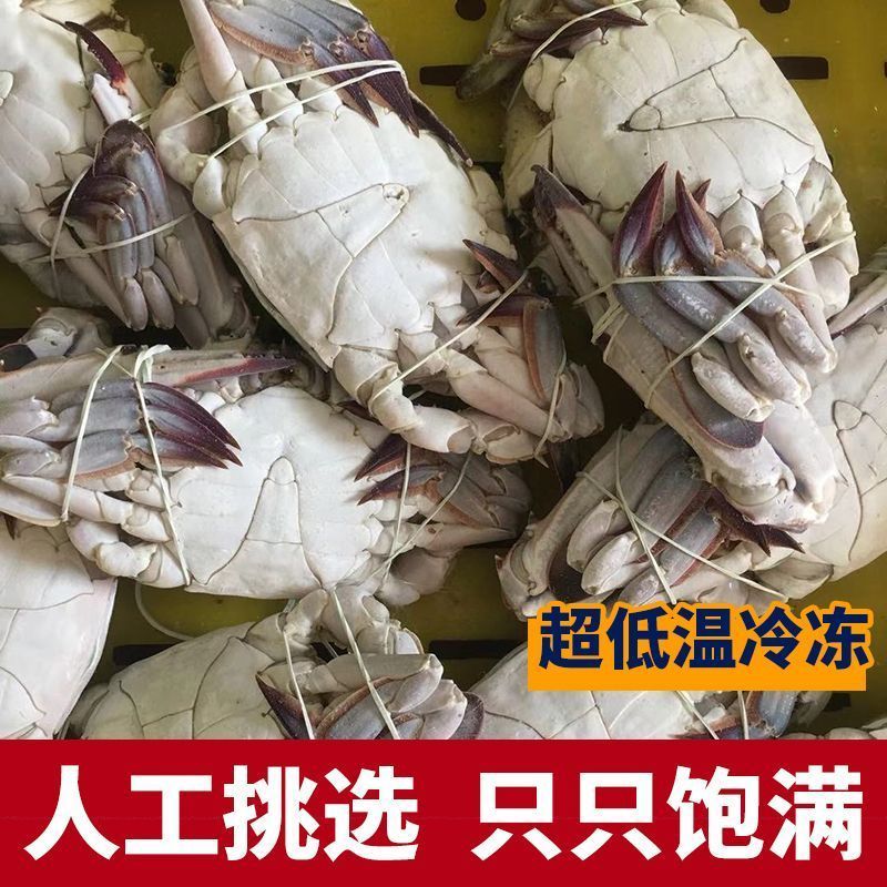 梭子蟹海捕新鲜活冻公蟹飞蟹饭店自助餐专用