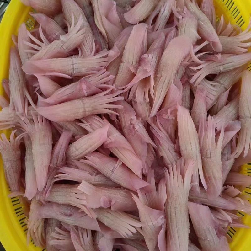 火箭鱿鱼商用火锅冒菜串串生鲜食材水发