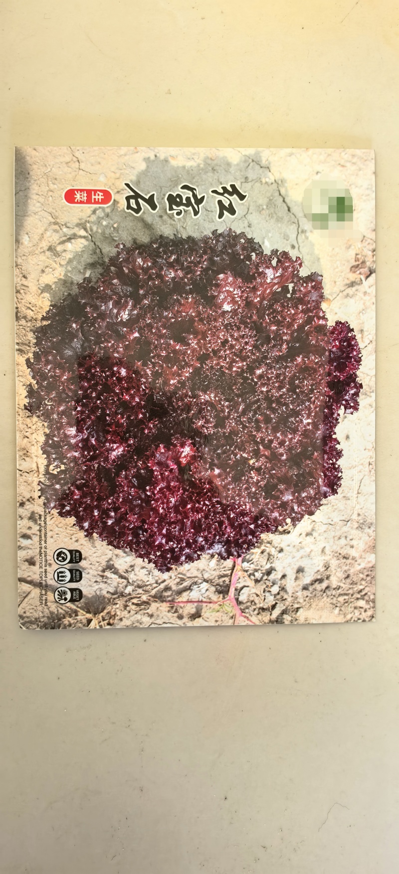 紫生菜种子紫叶紫罗莎生菜红宝石早熟30-60天收获