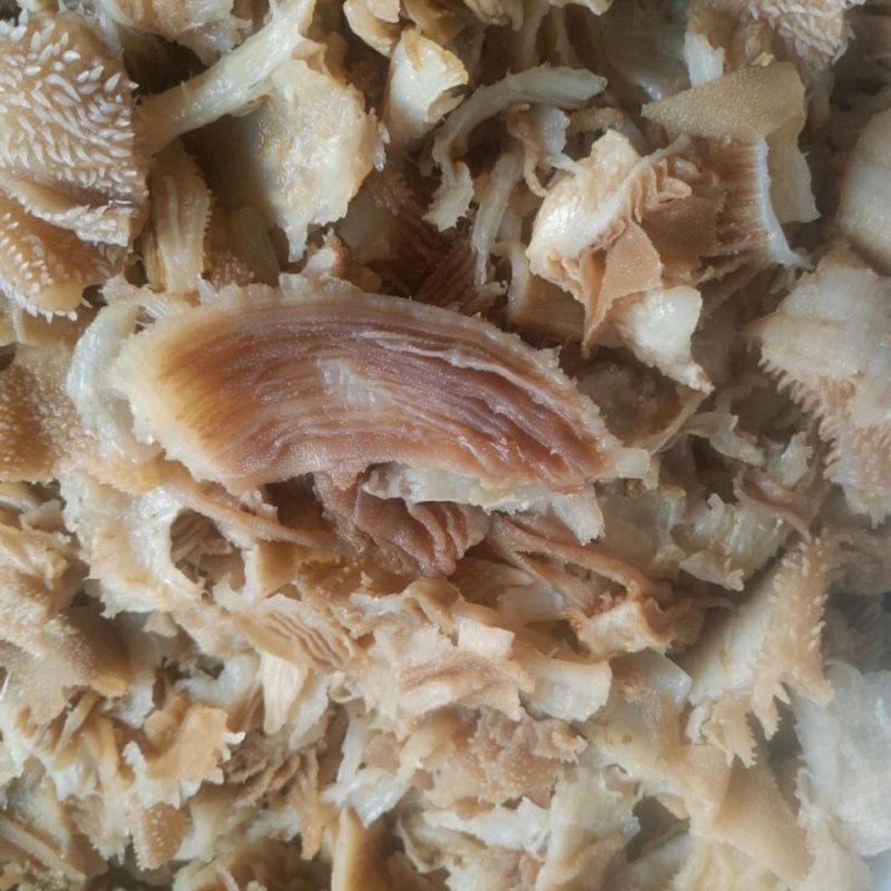 毛肚叶片边角商用新鲜牛百叶下脚料毛血旺串串冒菜配菜