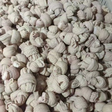 小肠节
