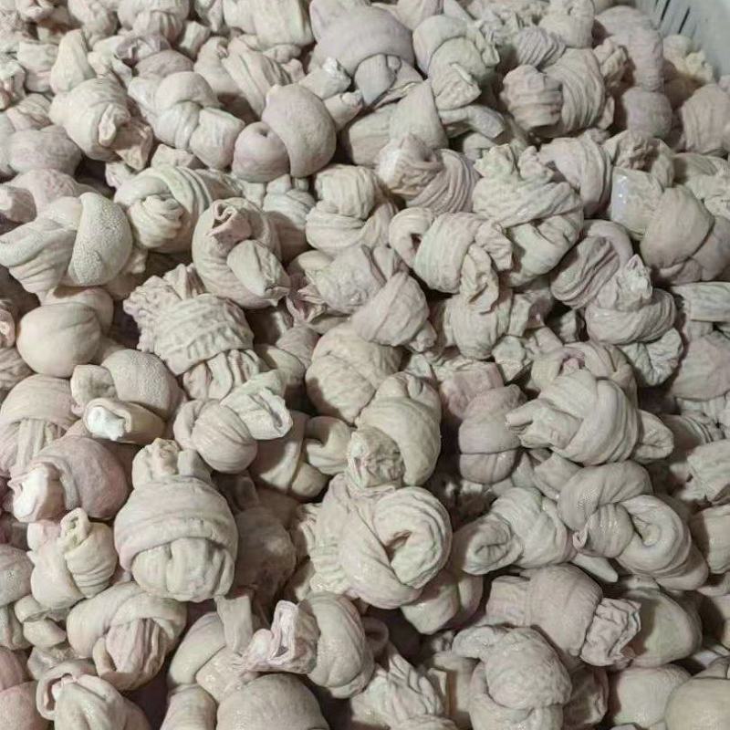 小肠节