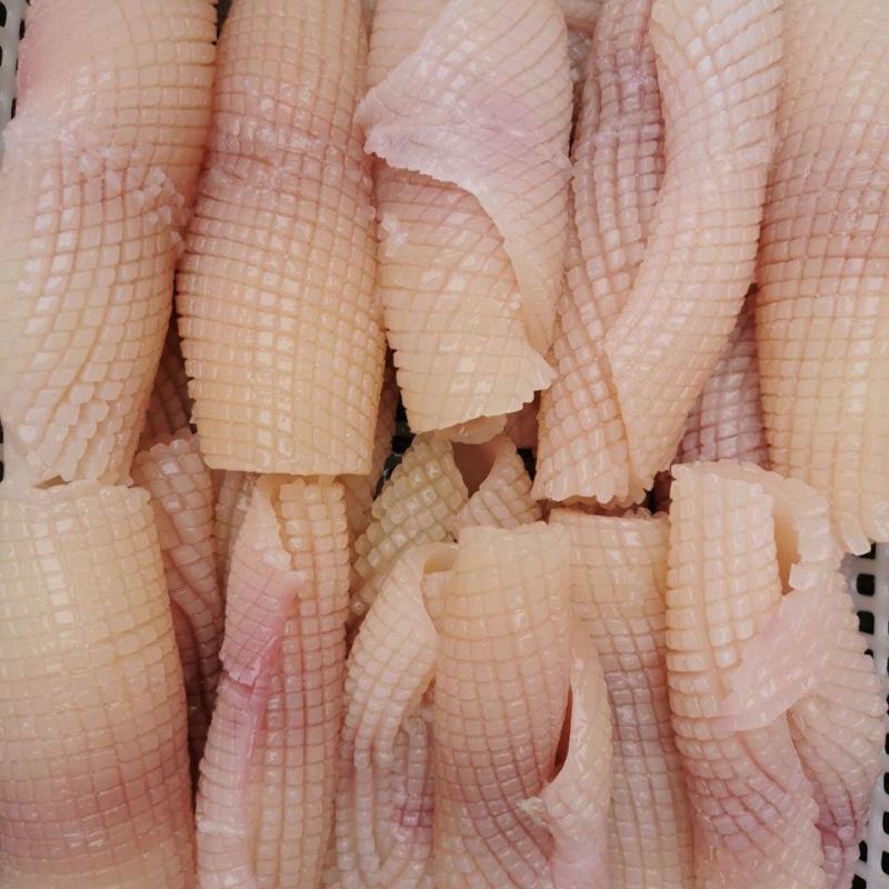 水发鱿鱼花生鲜冒菜火锅食材/量大价优/一手货源