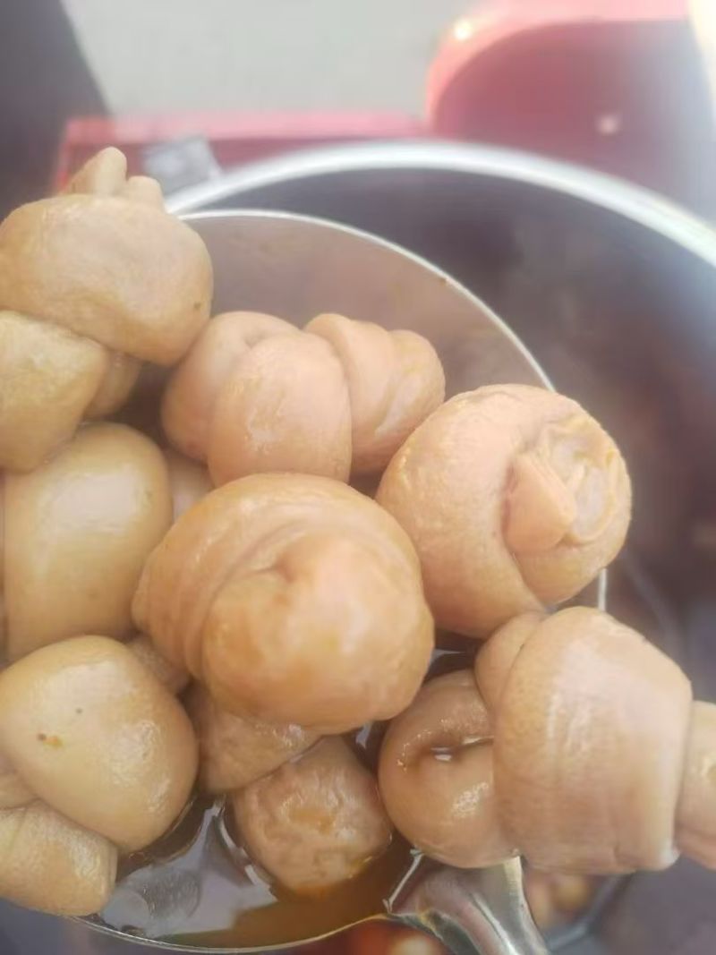 小肠节