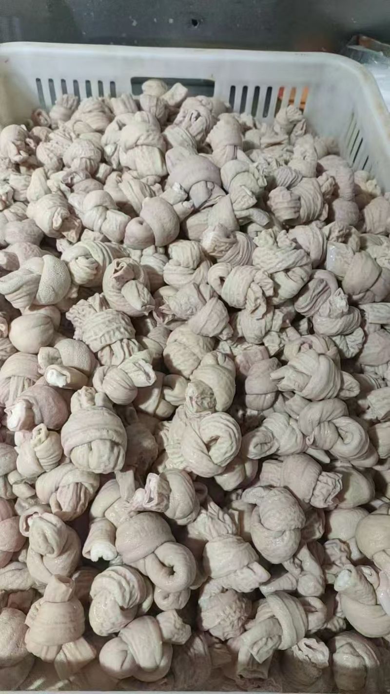 小肠节