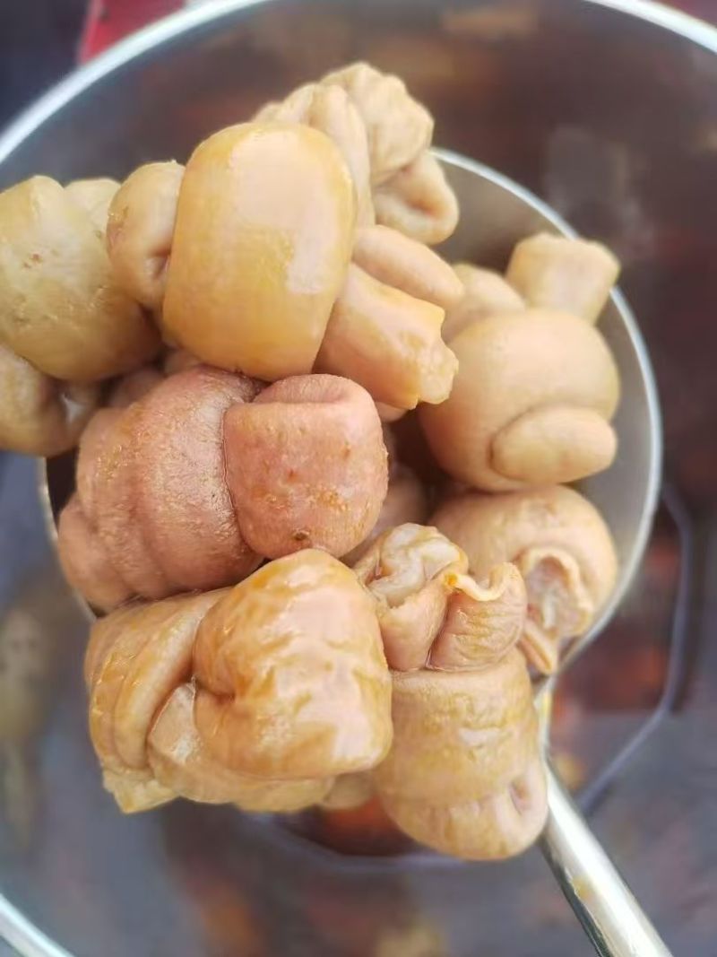 小肠节
