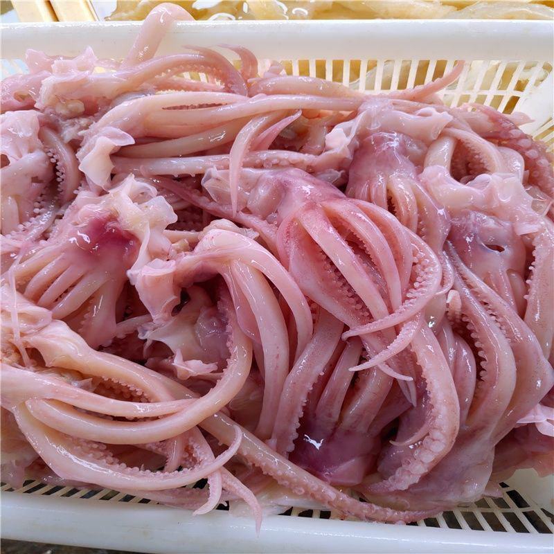 鱿鱼须水发商用装水发火锅食材海鲜