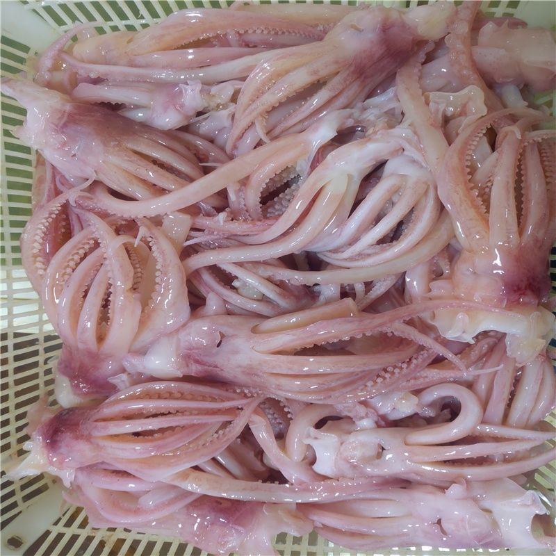 鱿鱼须水发商用装水发火锅食材海鲜