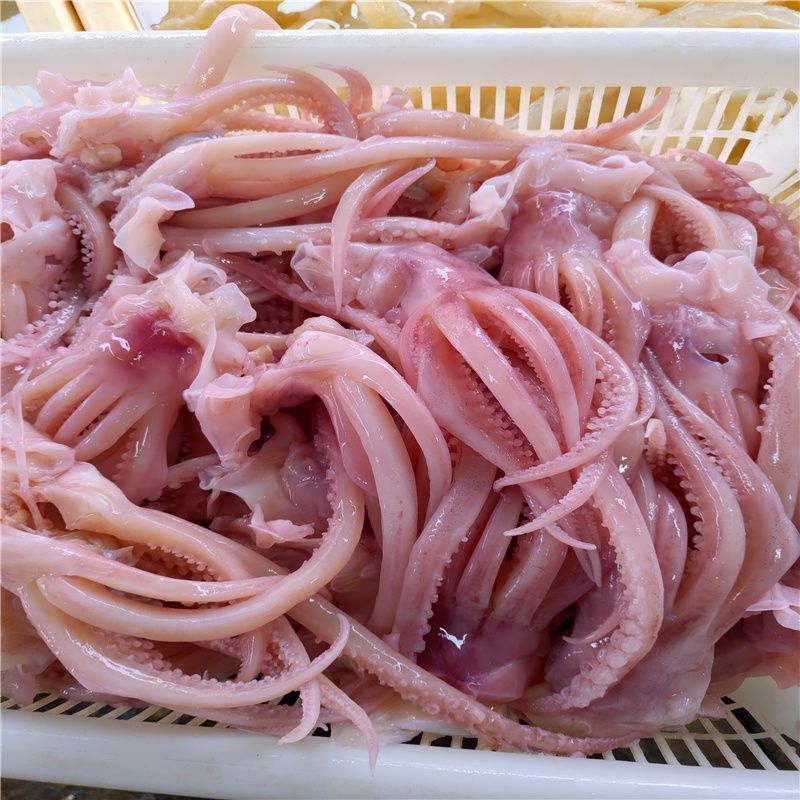鱿鱼须水发商用装水发火锅食材海鲜