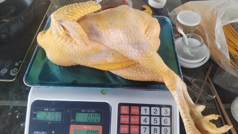 正宗散养三黄走地鸡