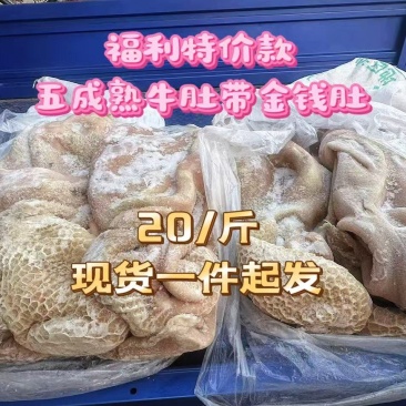 精品牛肚