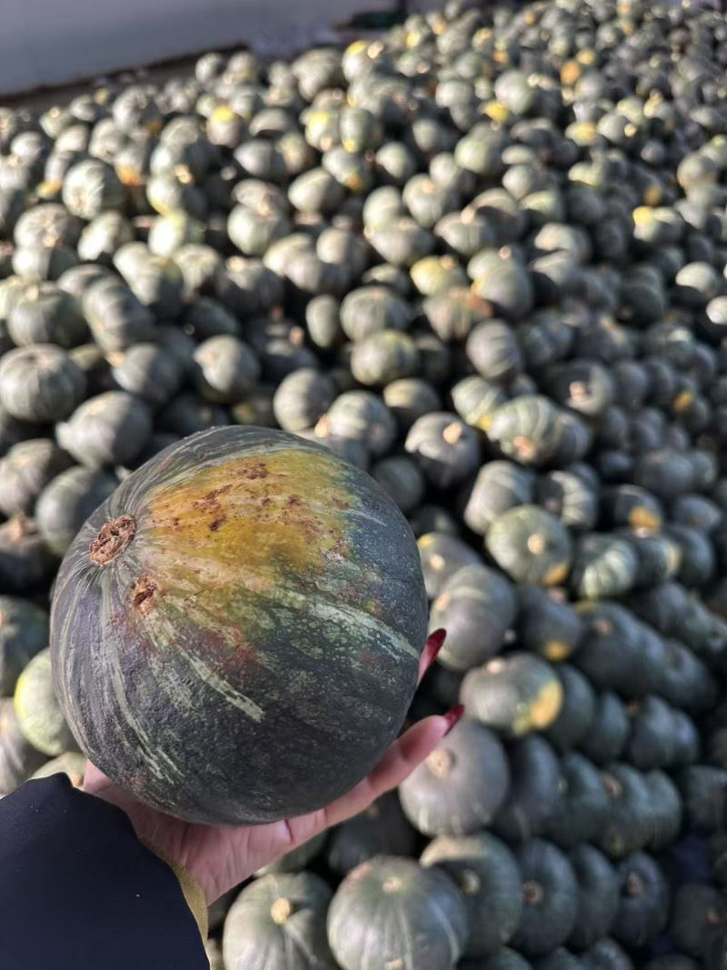 板栗南瓜，又老又粉又甜，各种规格都有，