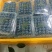 【实力推荐】云南蓝莓花香蓝莓L25蓝莓一手货源按需包装