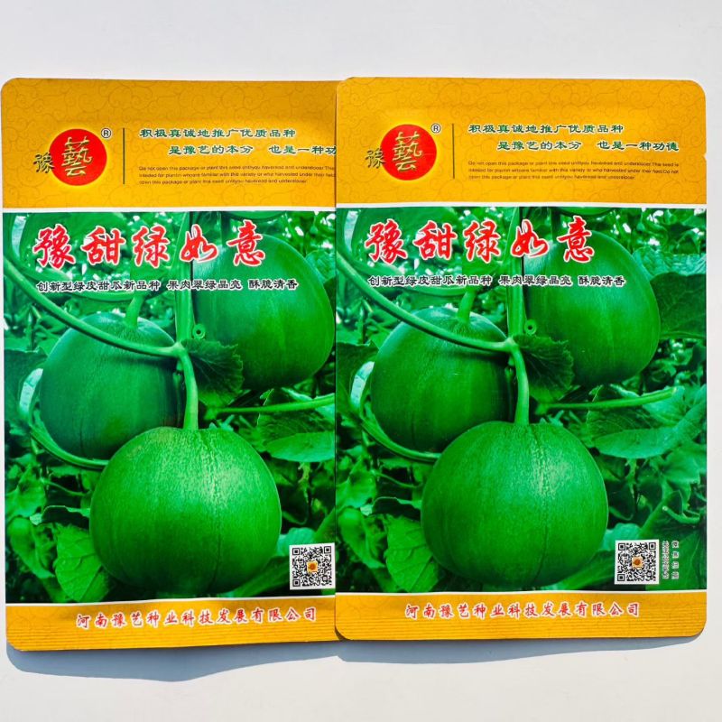 豫甜绿如意绿宝甜瓜种子口感好薄皮甜脆早熟高产商品性佳