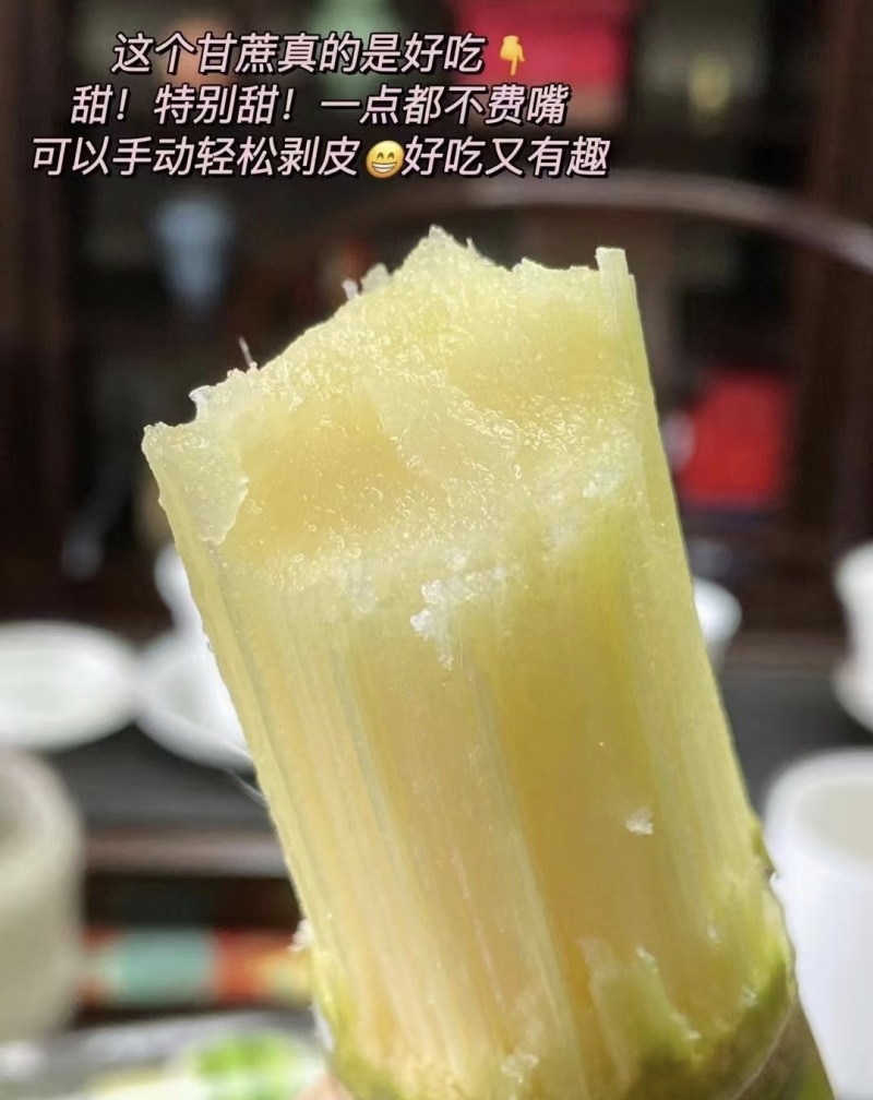 黄皮甘蔗，产地直发，糖分高，汁水足，保质保量，欢迎咨询采购