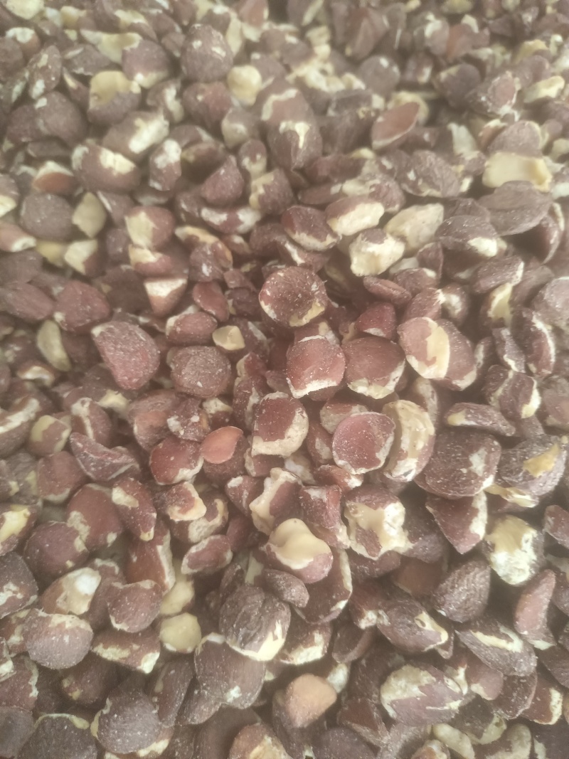 广西茶籽仁干茶籽小籽茶油脱壳油茶果籽老品种茶籽