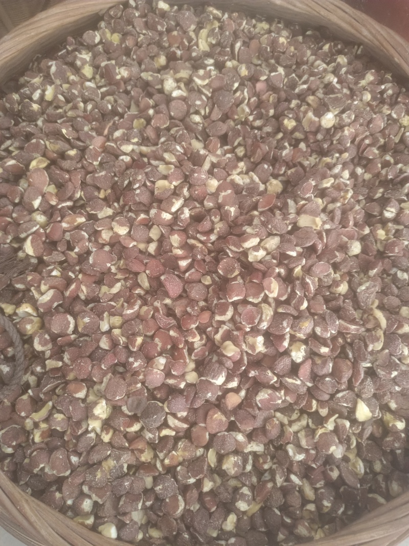 广西茶籽仁干茶籽小籽茶油脱壳油茶果籽老品种茶籽