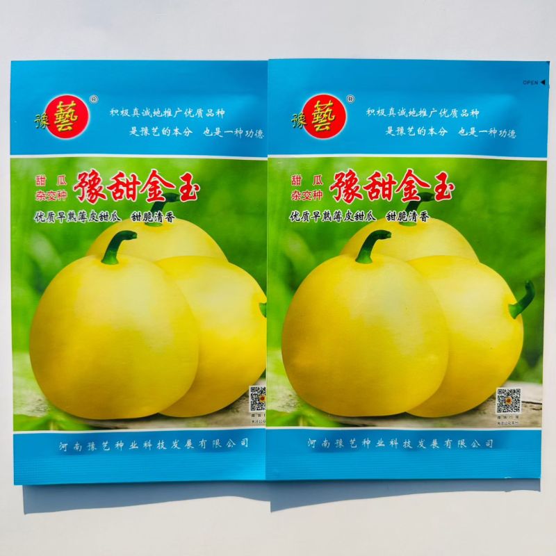 豫甜金玉新甜黄皮白肉甜瓜种子香瓜种籽礼品香瓜种子