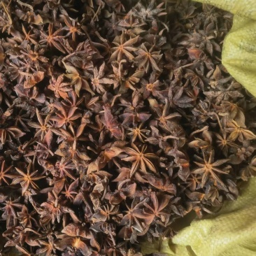 高品质干枝八角广西古龙深山天然种植干枝八角，香味浓郁