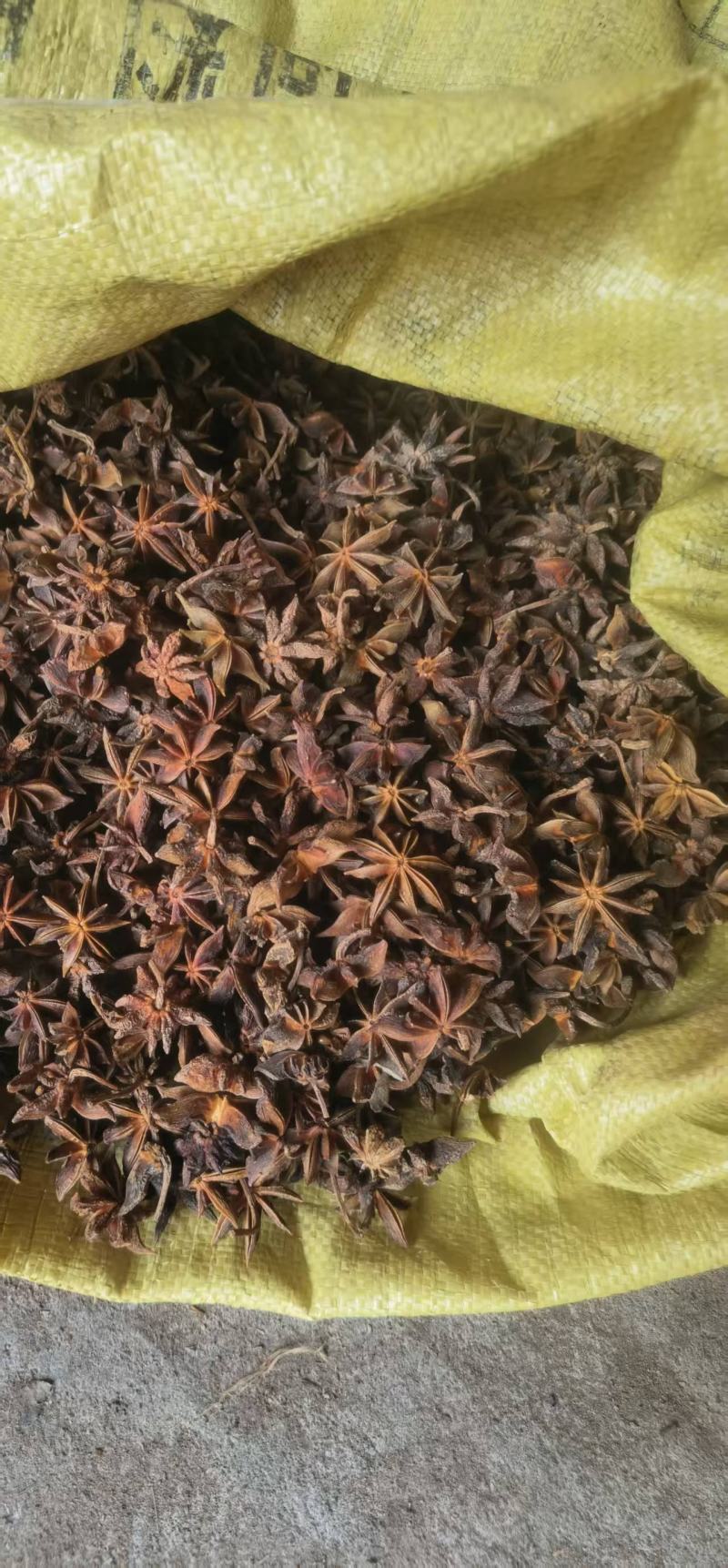 高品质干枝八角广西古龙深山天然种植干枝八角，香味浓郁