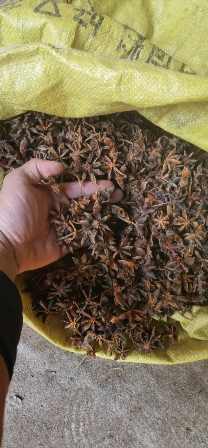 高品质干枝八角广西古龙深山天然种植干枝八角，香味浓郁