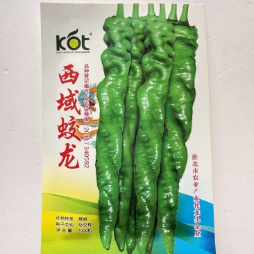 西域蛟龙无限生长型螺丝椒早中熟品种椒条顺直商品性好产量高