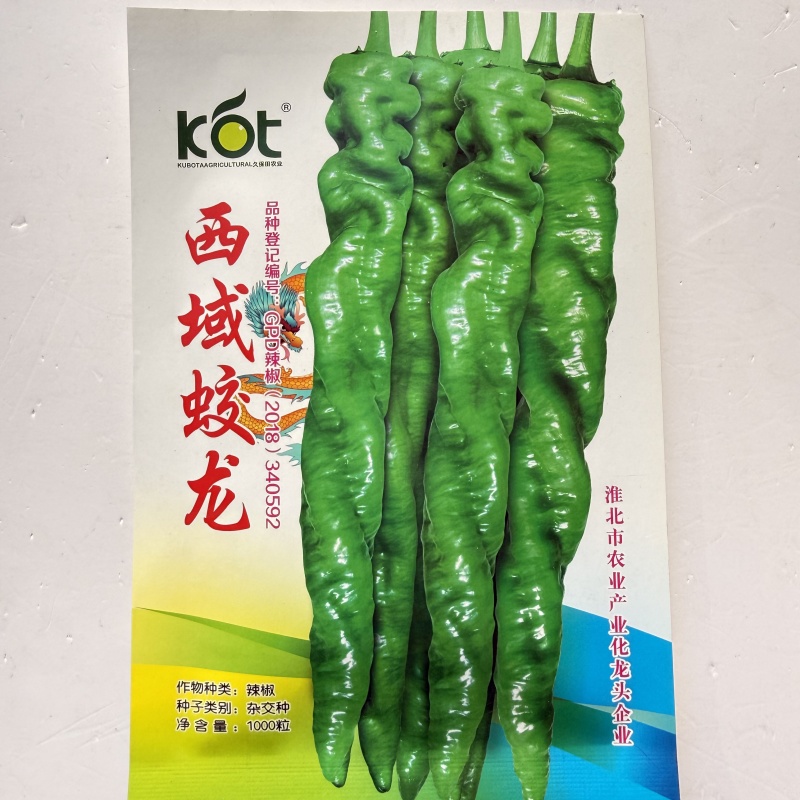 西域蛟龙无限生长型螺丝椒早中熟品种椒条顺直商品性好产量高