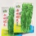 西域蛟龙无限生长型螺丝椒早中熟品种椒条顺直商品性好产量高