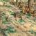 散养跑山鸡