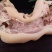 去骨牛蹄（全熟）/质量保证/诚信经营/量大价优