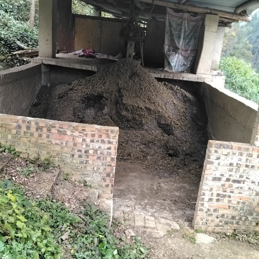 猪粪农家肥