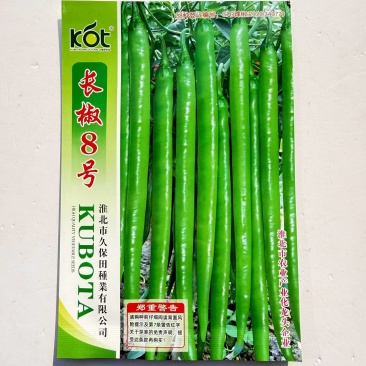 中辣长线椒长椒8号辣椒种子早熟顺直春秋播蔬菜辣椒籽高产