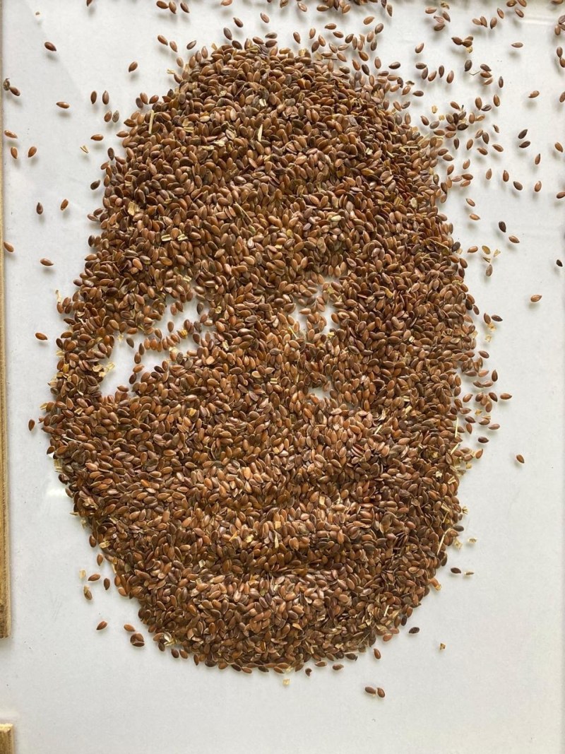 俄罗斯黄金亚麻籽，含油量40，杂质2.4，水份7.3