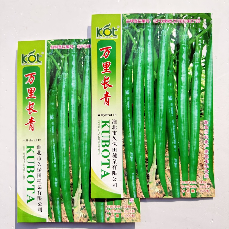中辣长线椒长椒8号辣椒种子早熟顺直春秋播蔬菜辣椒籽高产