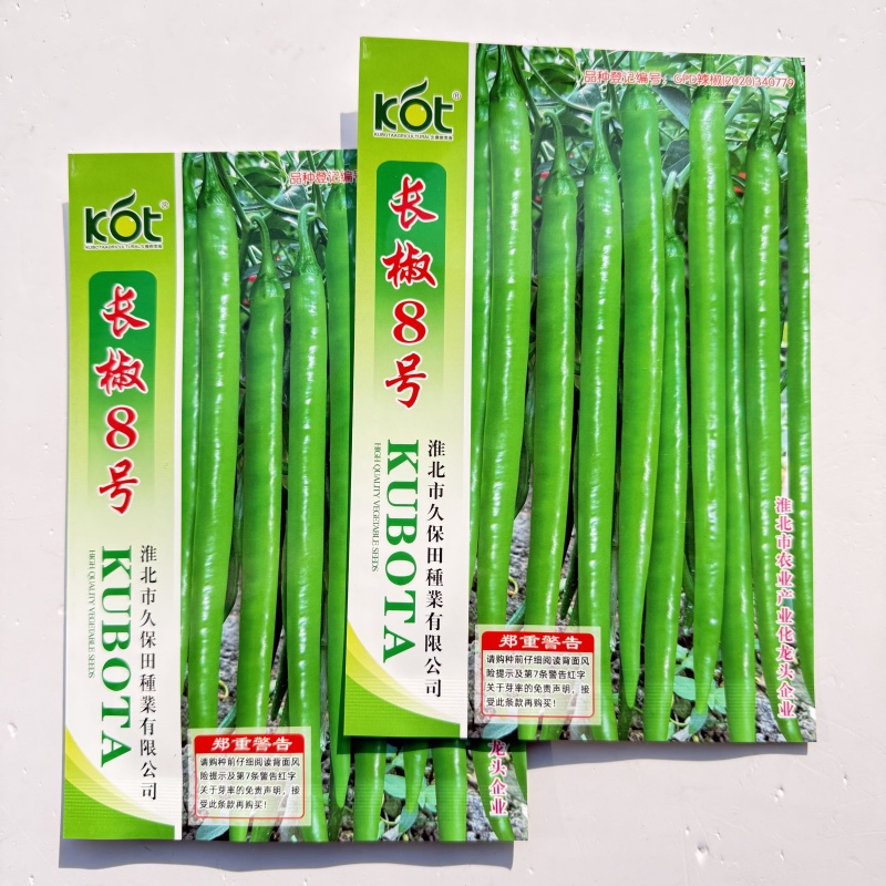 中辣长线椒长椒8号辣椒种子早熟顺直春秋播蔬菜辣椒籽高产