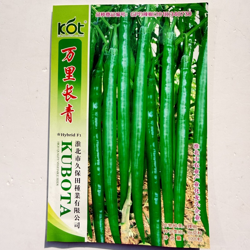中辣长线椒长椒8号辣椒种子早熟顺直春秋播蔬菜辣椒籽高产