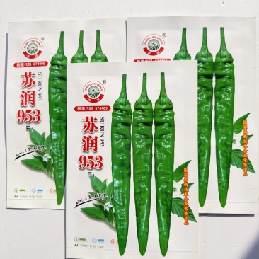 苏润953辣椒种子早熟顺直春秋播高产中辣蔬菜辣椒籽基地