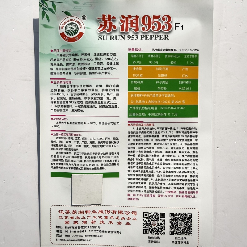 苏润953辣椒种子早熟顺直春秋播高产中辣蔬菜辣椒籽基地