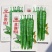 苏润953辣椒种子早熟顺直春秋播高产中辣蔬菜辣椒籽基地